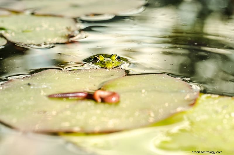 Bedeutung und Interpretation von Froschträumen 