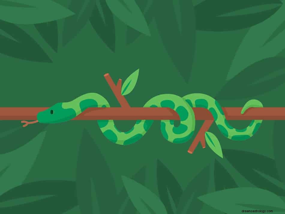 Hadí sen – výklady, významy a symbolika 