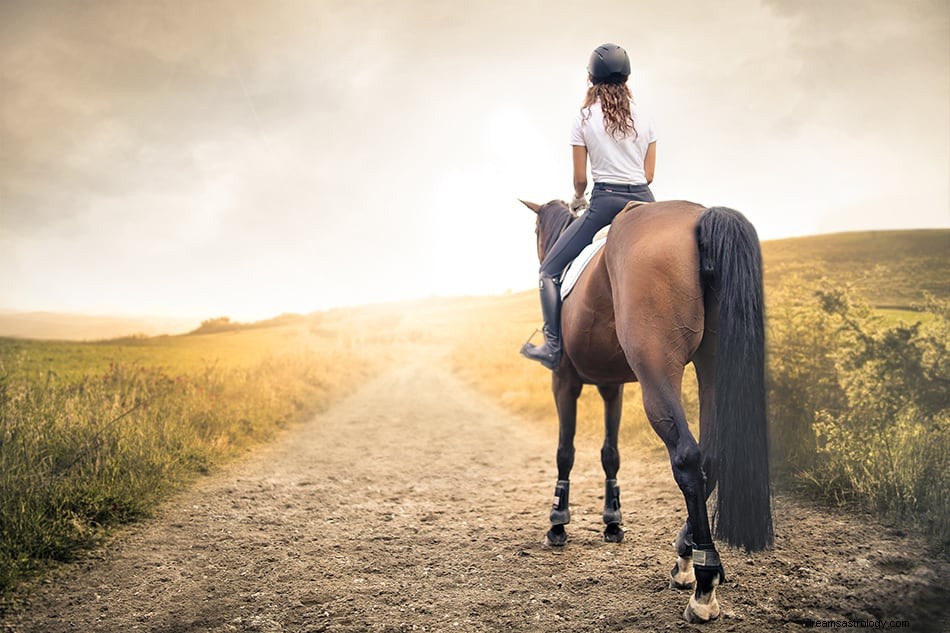 Signification et interprétation des rêves de cheval 