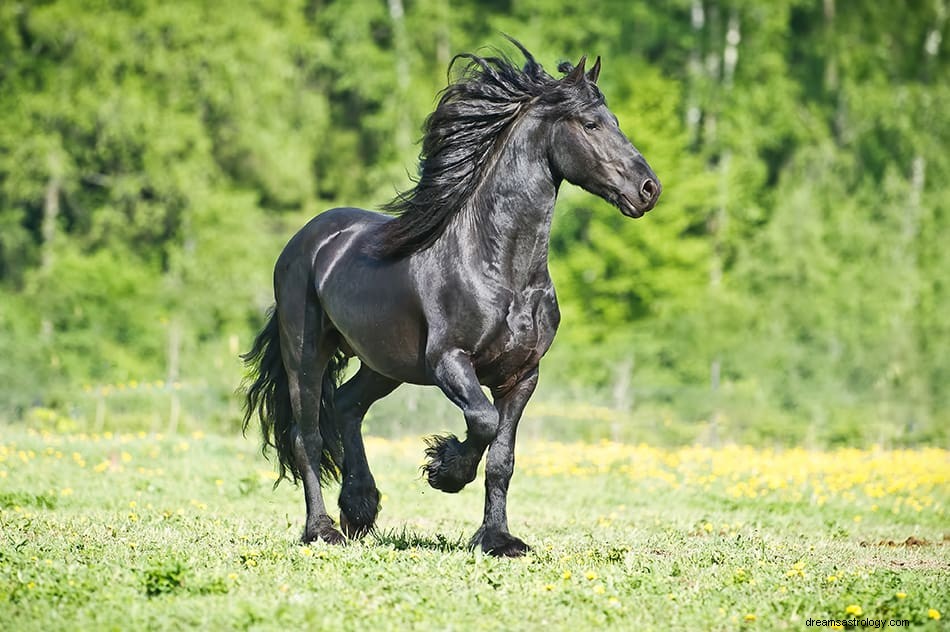 Significato e interpretazione del sogno del cavallo 