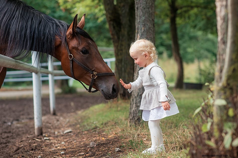 Significato e interpretazione del sogno del cavallo 