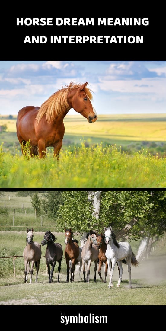 Betekenis en interpretatie van paardendromen 
