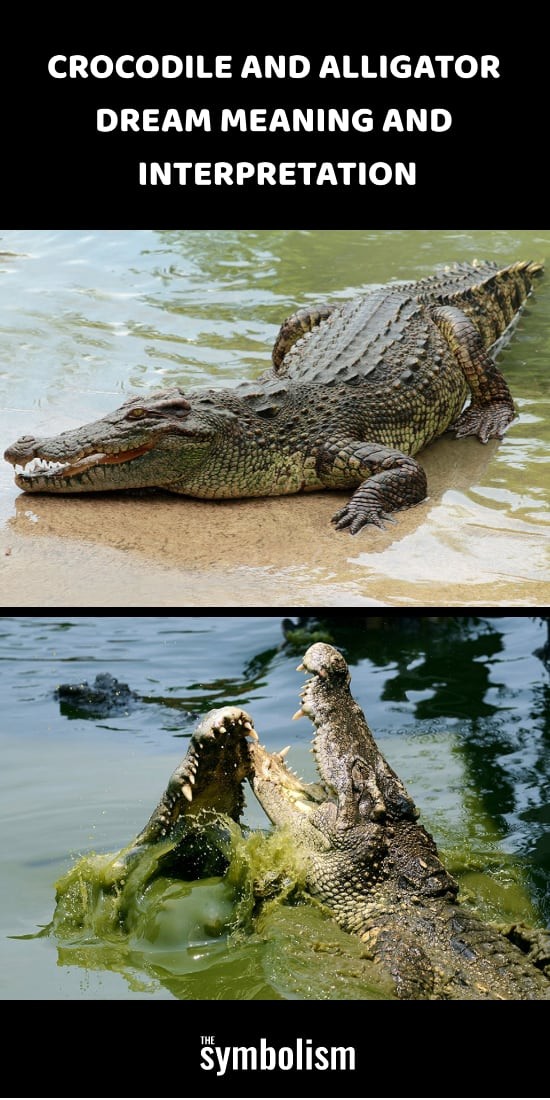 ワニとワニの夢の意味と解釈 