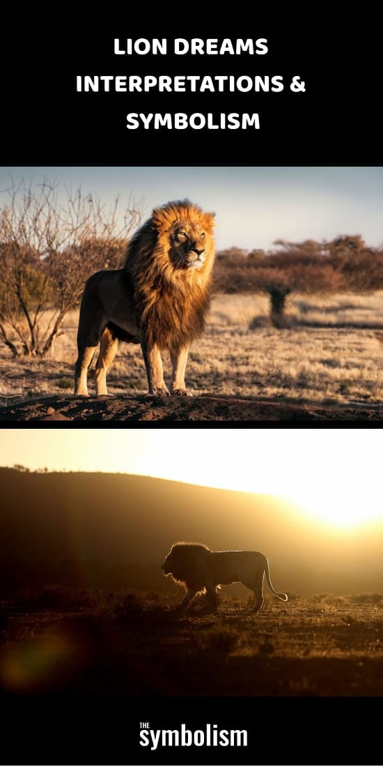 Interprétations et symbolisme des rêves de lion 