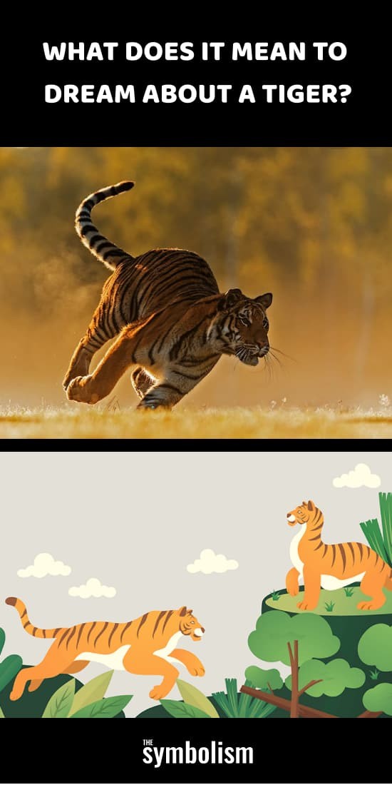 Was bedeutet es, von einem Tiger zu träumen? 