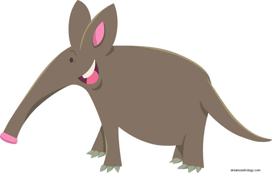 Έννοια &Ερμηνεία ονείρου Aardvark 