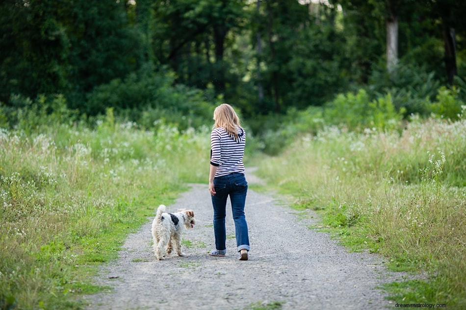 ¿Qué significa si sueñas con perros? 