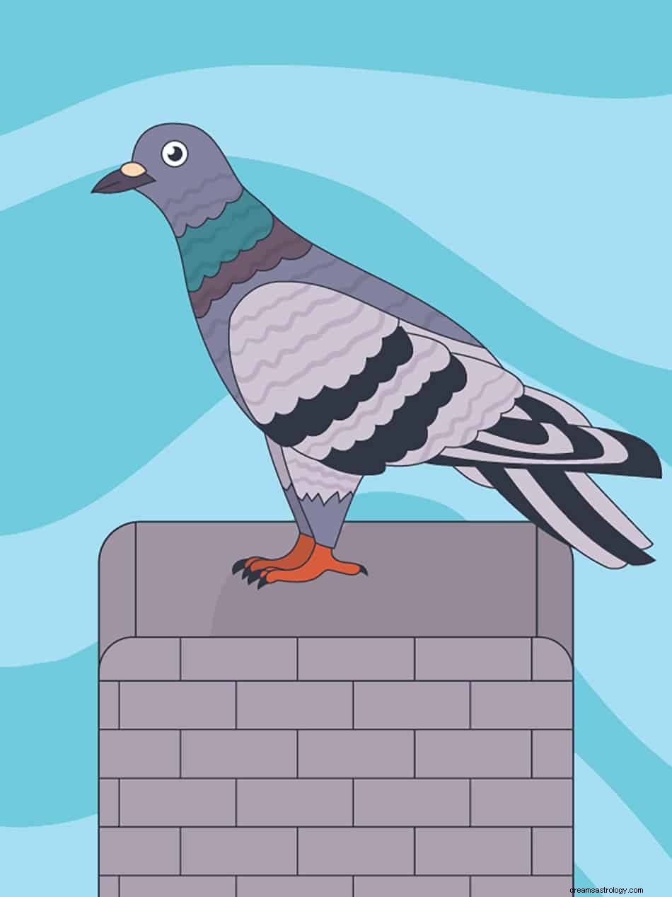 Signification et interprétation des rêves de colombe et de pigeon 