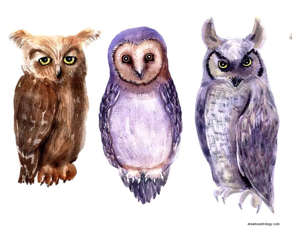 Interprétation et signification des rêves de hibou 