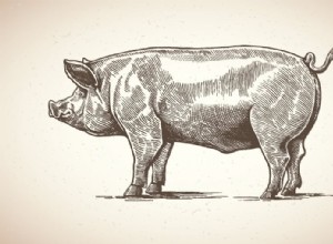 Signification et interprétation des rêves de cochon 