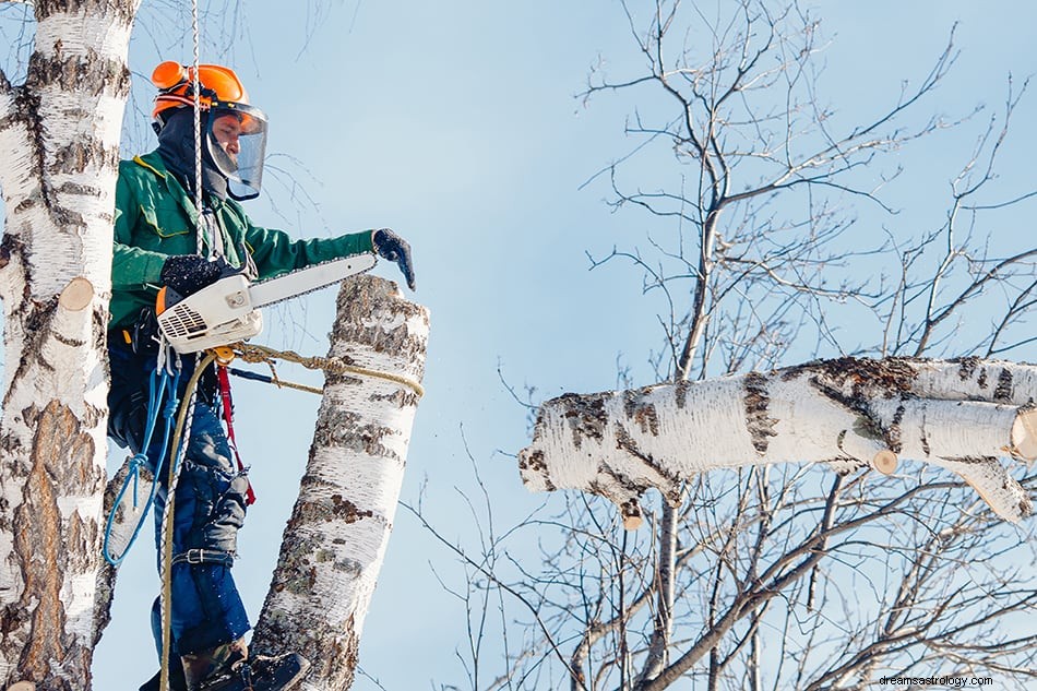 Wat betekent het als je over bomen droomt? 