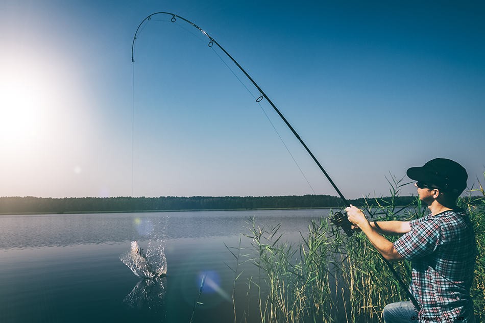 Droom over water - Interpretatie en betekenis 