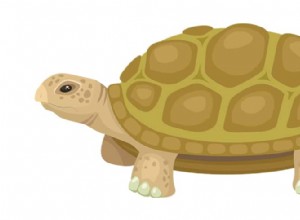 Que signifie rêver d une tortue ? 