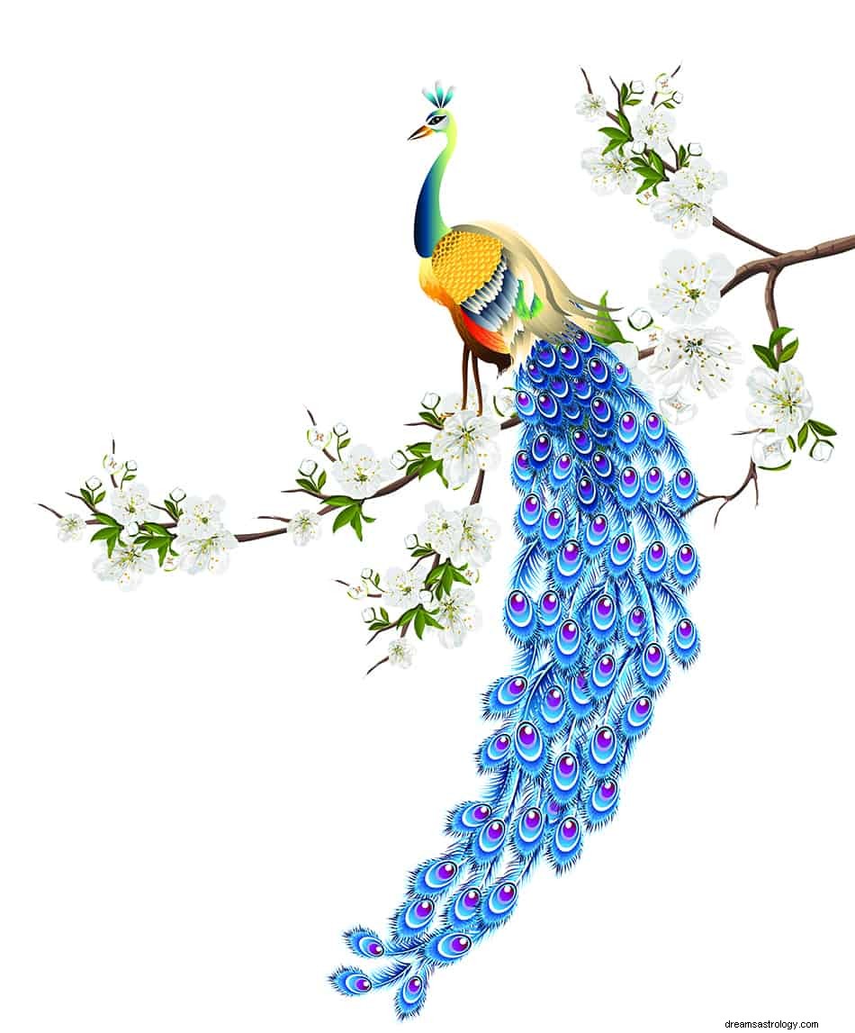 Ερμηνεία &Σημασία ονείρου Peacock 