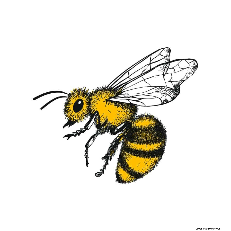 Que signifie rêver d abeilles ? 