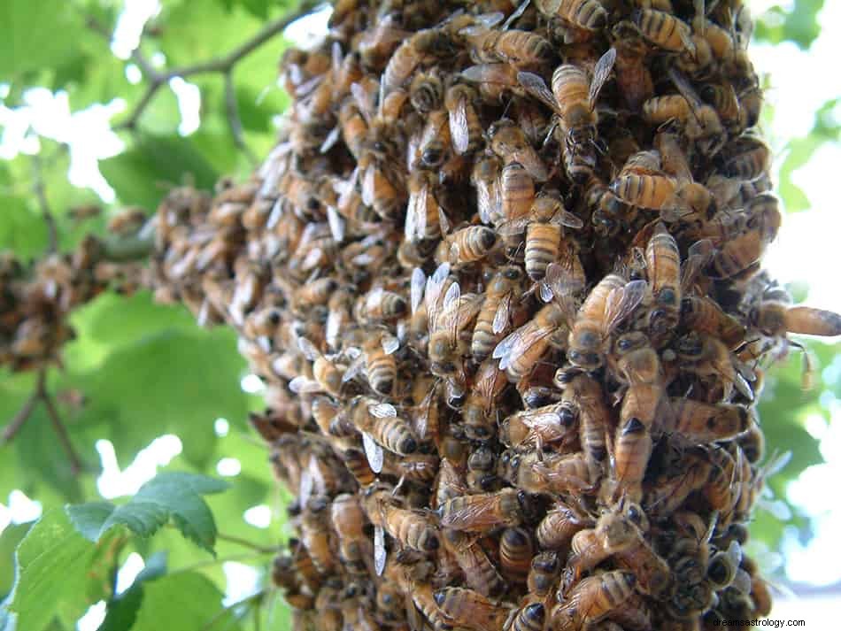 Que signifie rêver d abeilles ? 