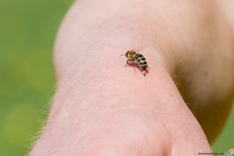 ¿Qué significa soñar con abejas? 
