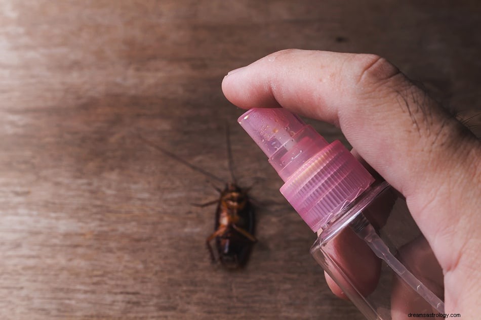 ¿Qué significa soñar con una cucaracha? 