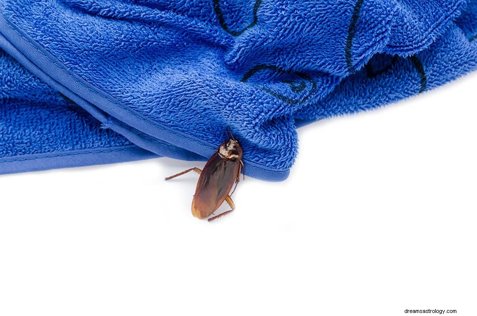Hvad vil det sige at drømme om en Roach? 
