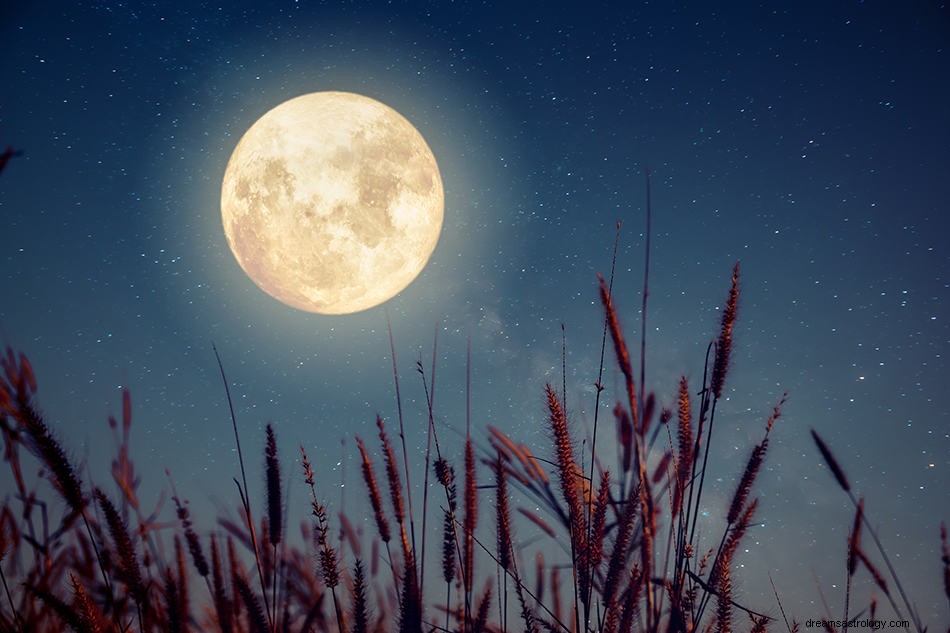 Hvad betyder det, når du drømmer om månen? 