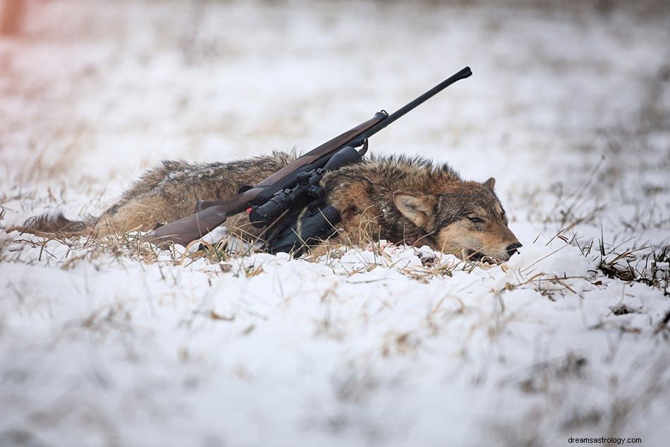 Was bedeutet es, von einem Wolf zu träumen? 