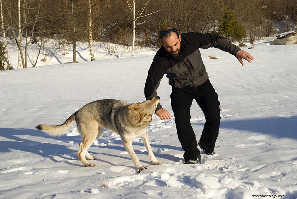 Was bedeutet es, von einem Wolf zu träumen? 