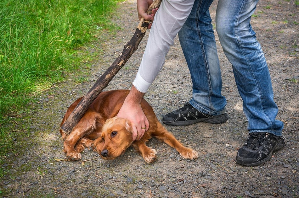 Que signifie rêver d une attaque de chien ? 