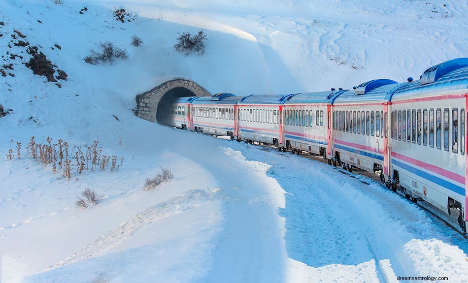 Significato del sogno del treno:viaggio, destino e molto altro 