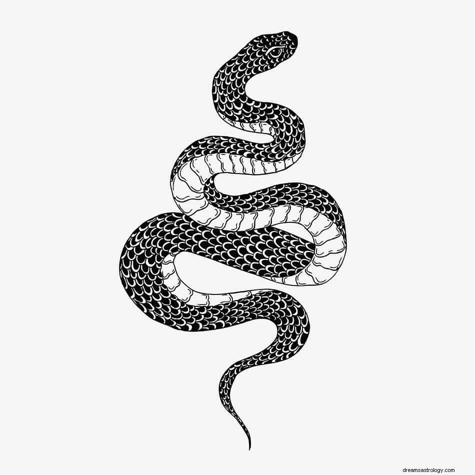 Was bedeutet es, von einer schwarzen Schlange zu träumen? 