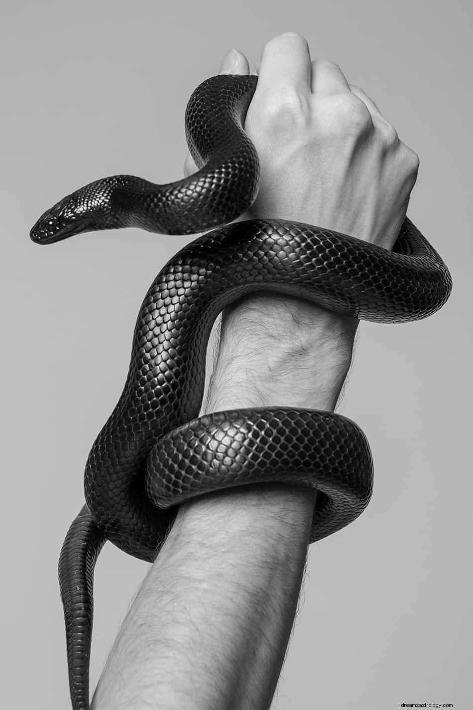 Hva betyr det å drømme om en svart slange? 
