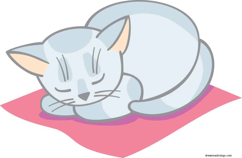 O que significa sonhar com gato branco? 