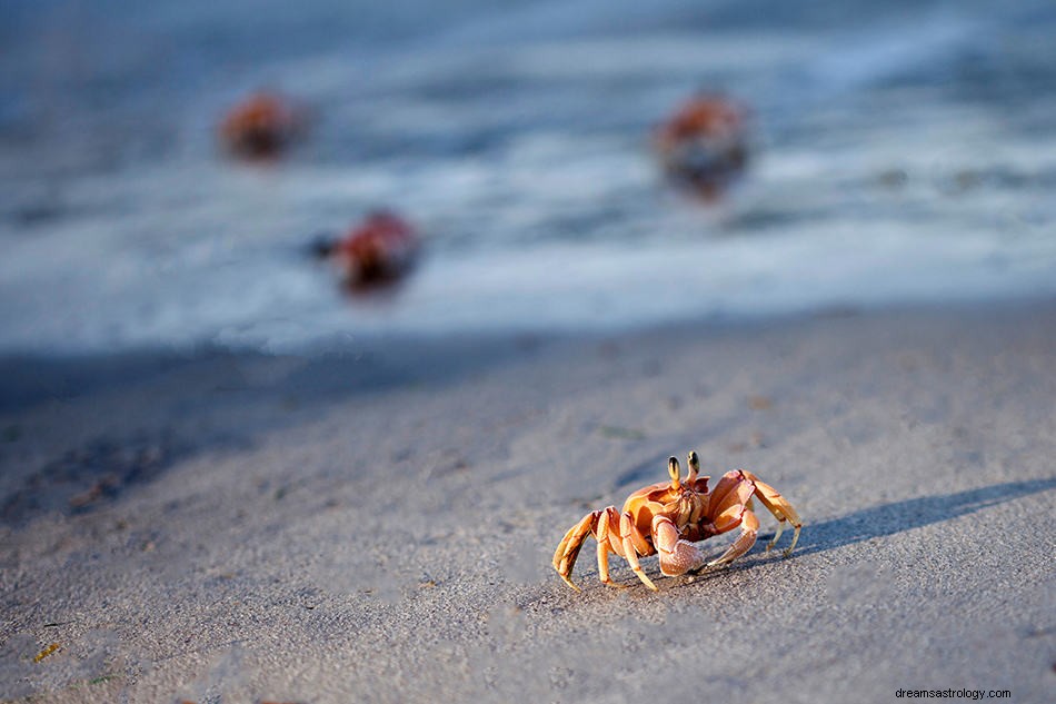 Drømmer om krabbe – symbolikk, mening og tolkning 