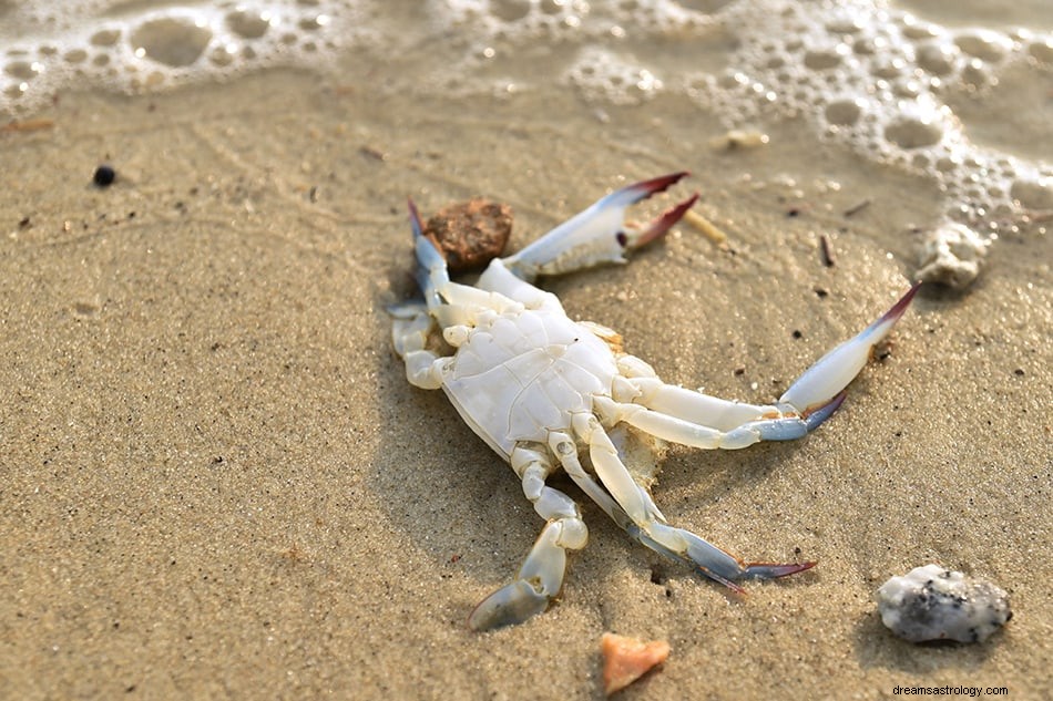 Drømme om krabbe – symbolik, mening og fortolkning 