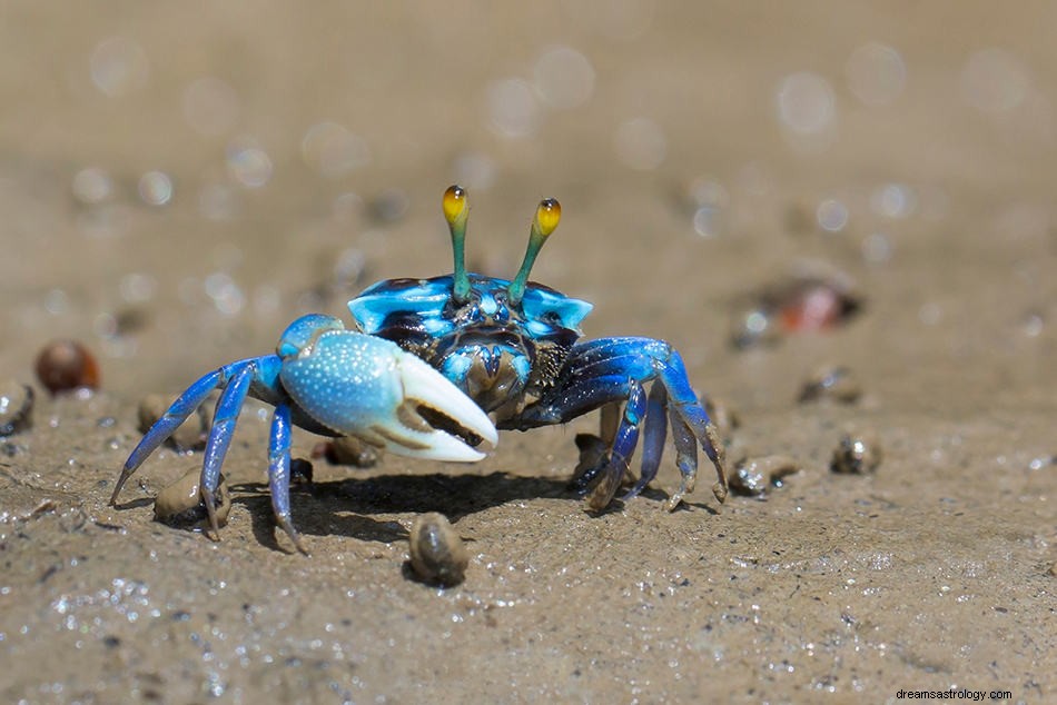 Drömmar om krabba – symbolik, mening och tolkning 