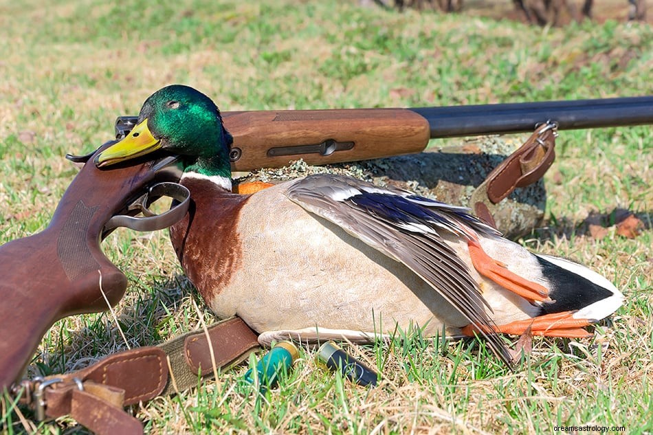 Que signifie rêver de canards ? 