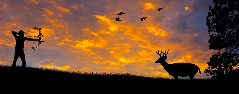 鹿やトナカイについての夢–意味と解釈 