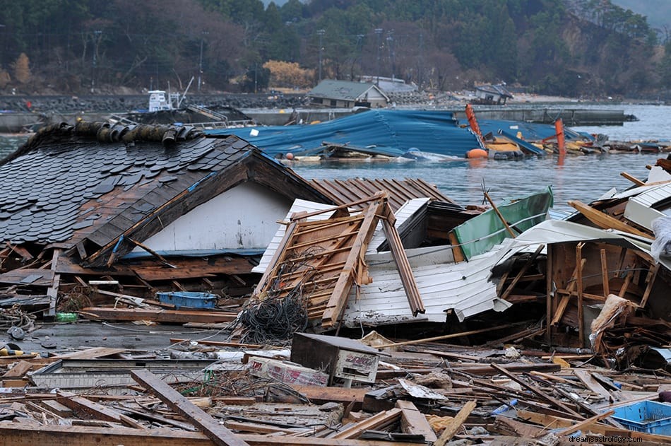 Hvad vil det sige at drømme om tsunami og flodbølge? 