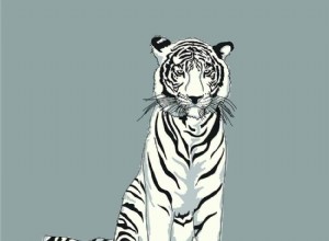Sny bílého tygra – význam a výklad 