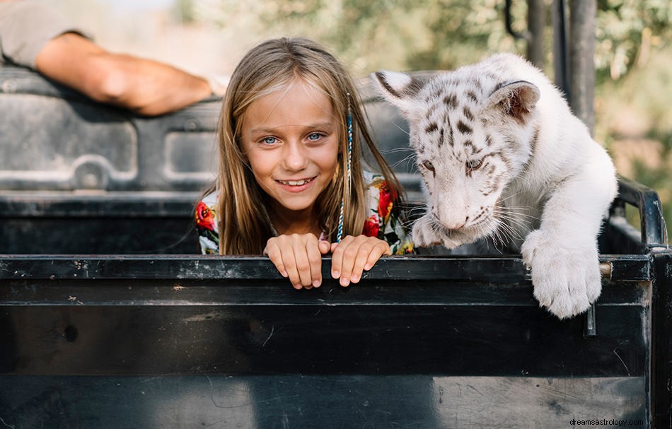 Sogni della tigre bianca:significato e interpretazione 