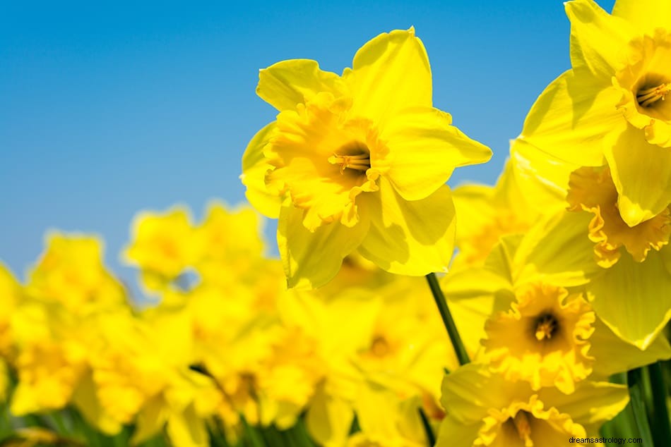 Couleur jaune dans les rêves - Symbolisme et signification 