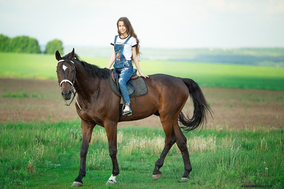 Dromen van bruin paard - betekenis en symboliek 