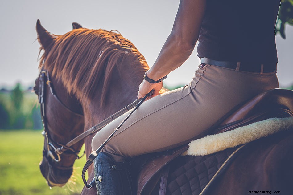 Dromen van bruin paard - betekenis en symboliek 