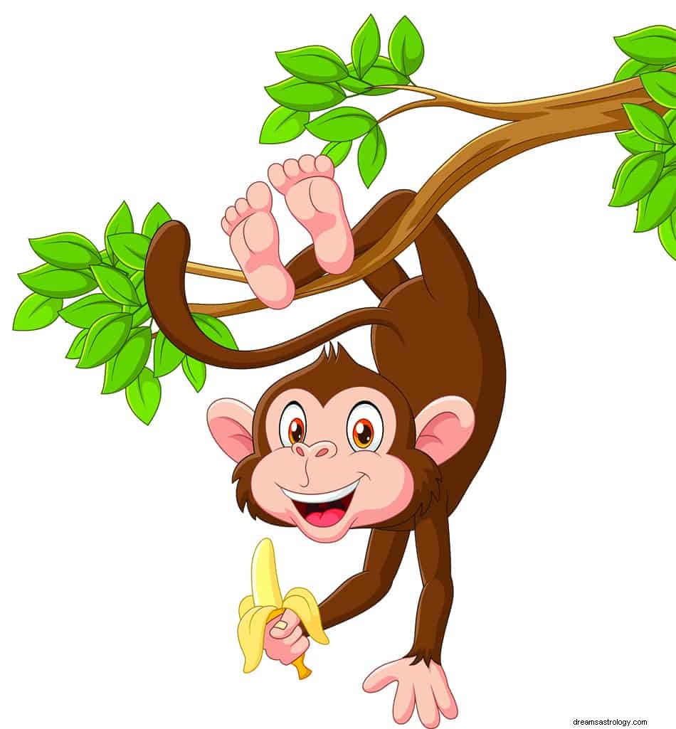 O que significa sonhar com macaco? 