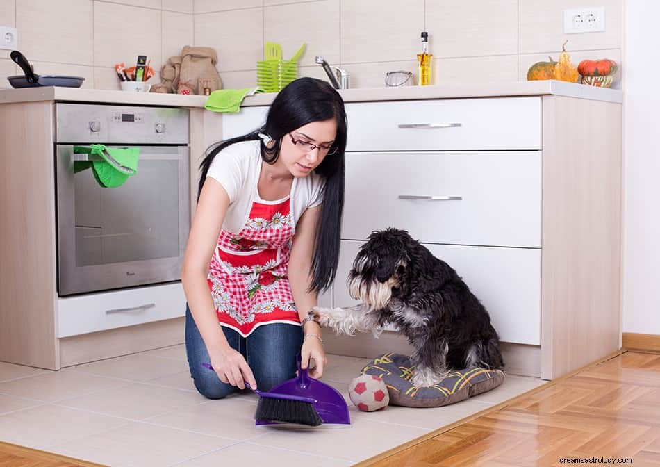 子犬を夢見るとはどういう意味ですか？ 