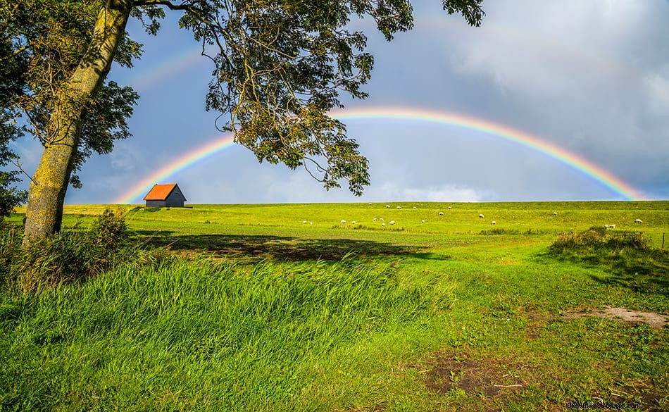 Wat betekent dromen over regen? 