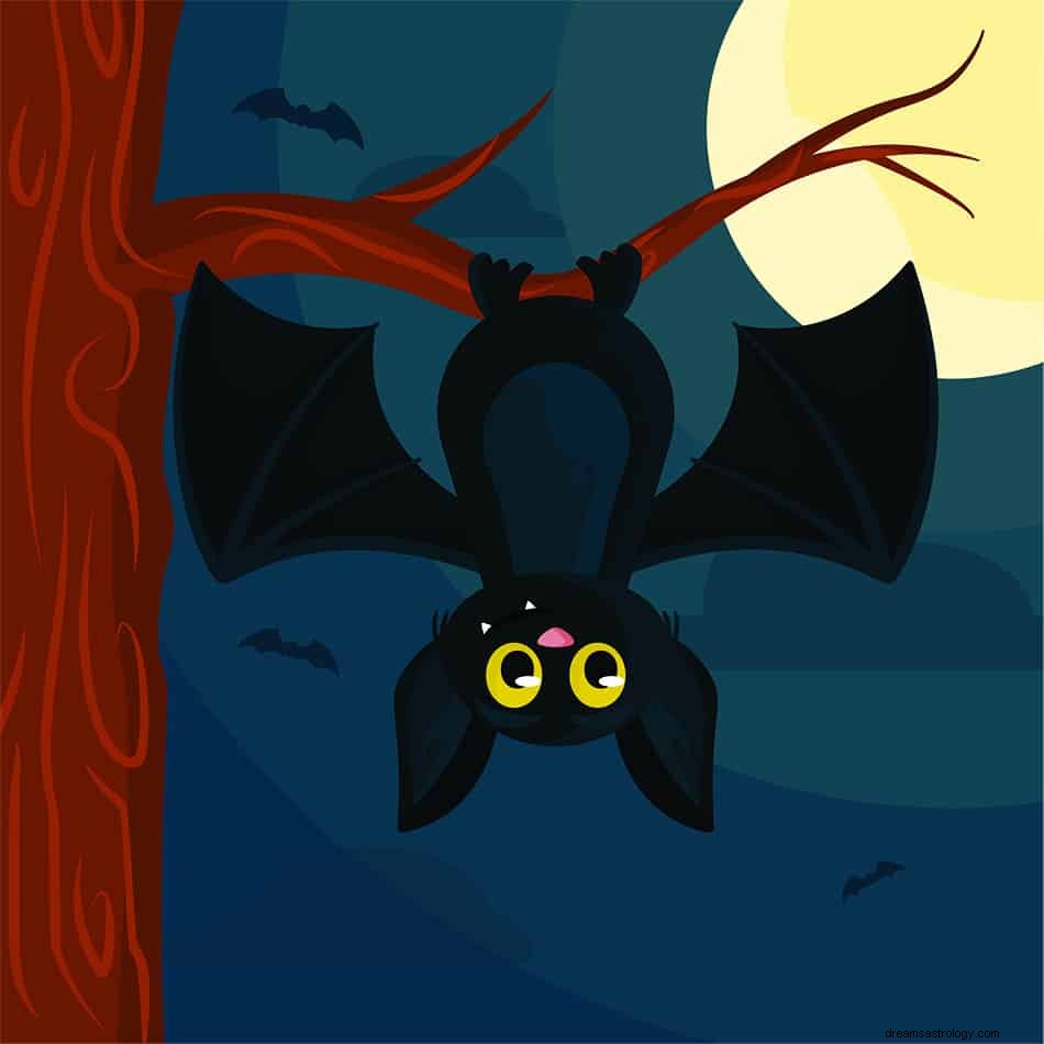 Co to znamená snít o netopýrovi? 