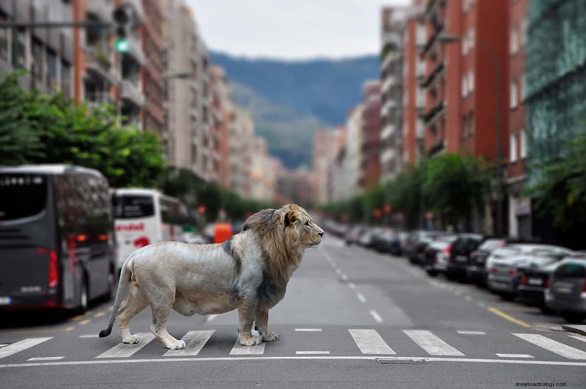 ¿Qué significa soñar con leones persiguiéndome? 