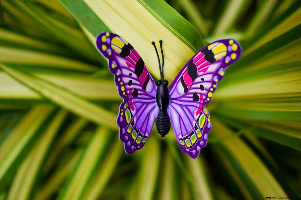 Drømmer om en sommerfugl – symbolik og mening 