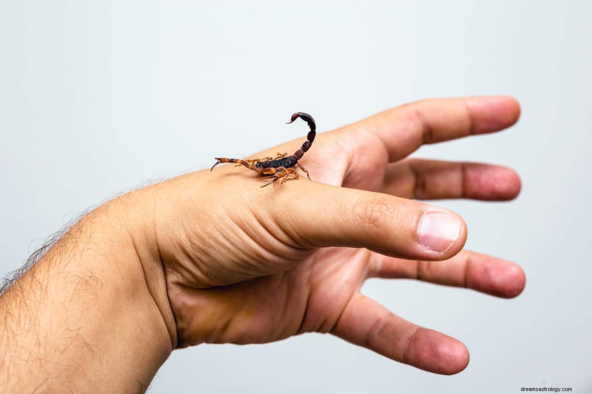 Hvad betyder det at drømme om skorpioner? 