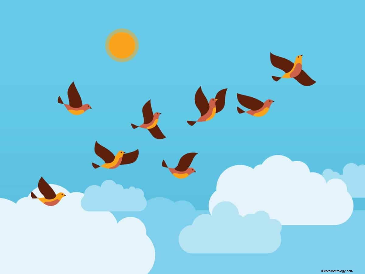 Wat betekent het om over een vogel te dromen? 